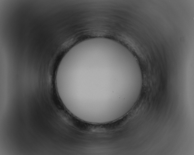 X0000088150258200705141057