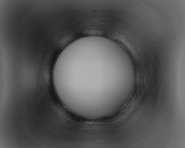 X0000088150259200705141057