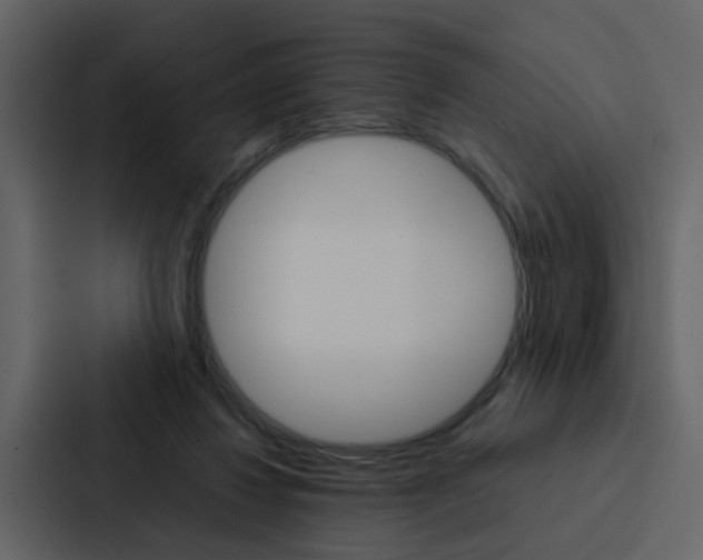X0000088150260200705141057