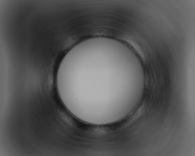 X0000088150261200705141057