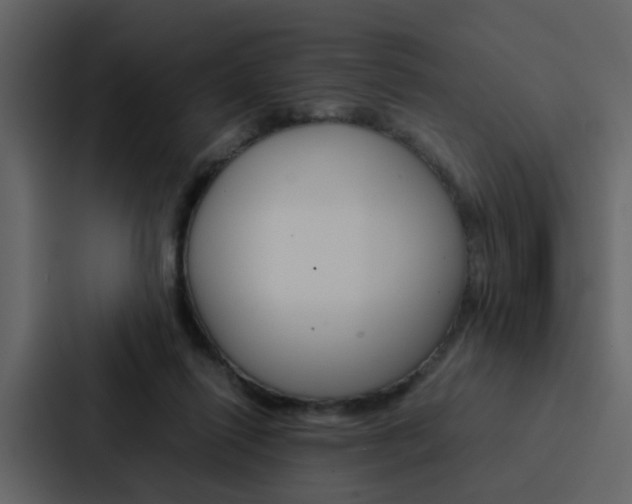 X0000088150262200705141057