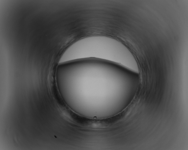 X0000088150264200705141057