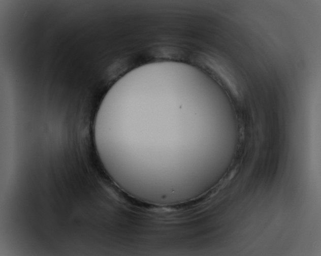 X0000088150265200705141057