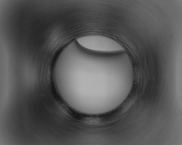 X0000088150266200705141057