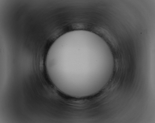 X0000088150267200705141057