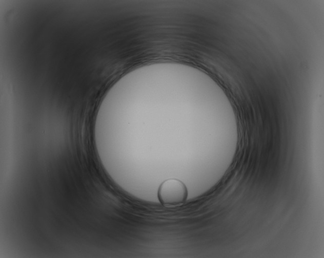 X0000088150268200705141057