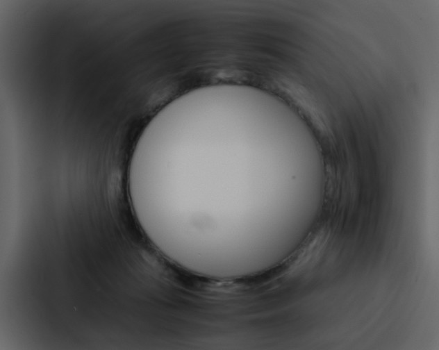 X0000088150269200705141057