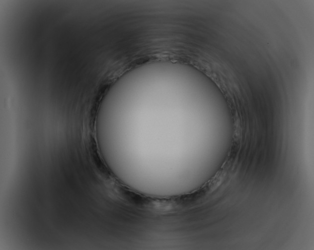 X0000088150272200705141057