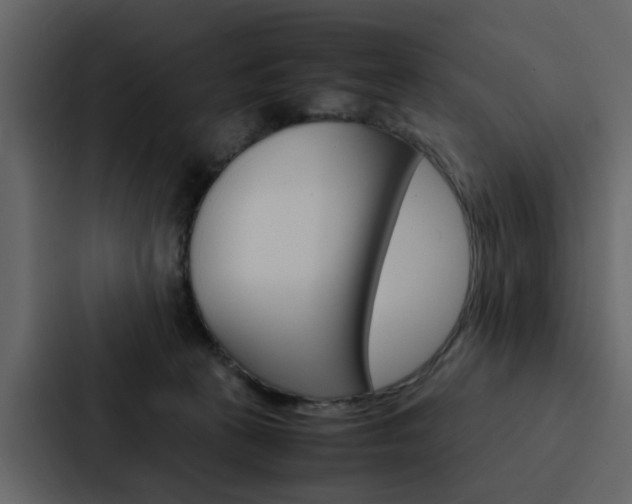 X0000088150273200705141057