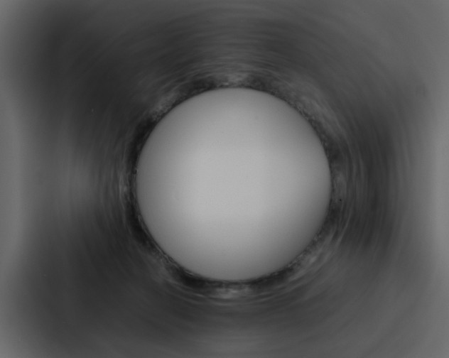 X0000088150274200705141057