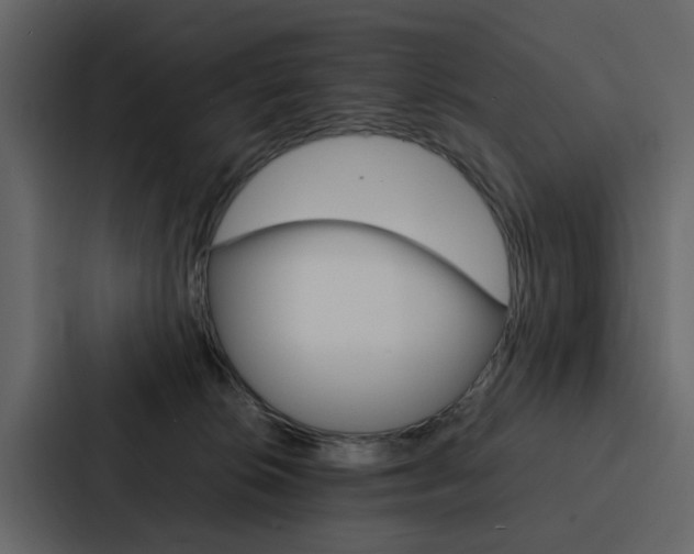 X0000088150276200705141057
