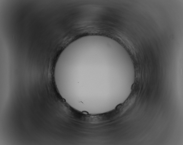 X0000088150277200705141057