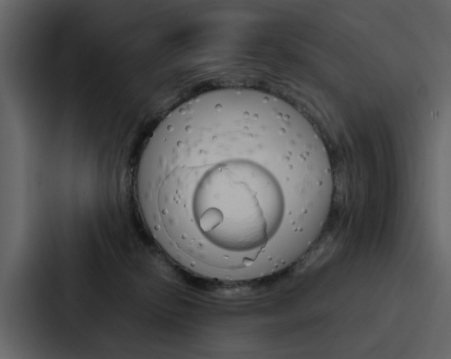 X0000088150278200705141057