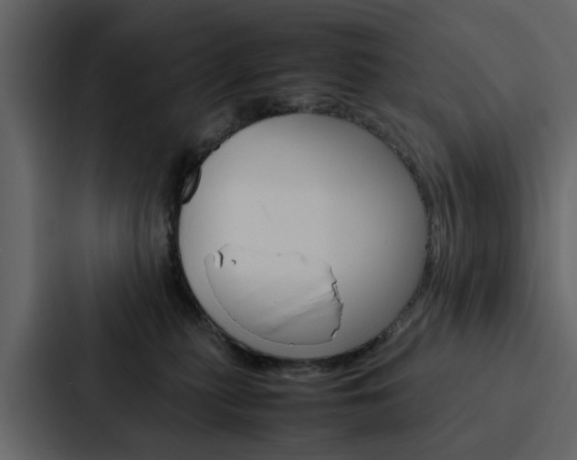 X0000088150279200705141057