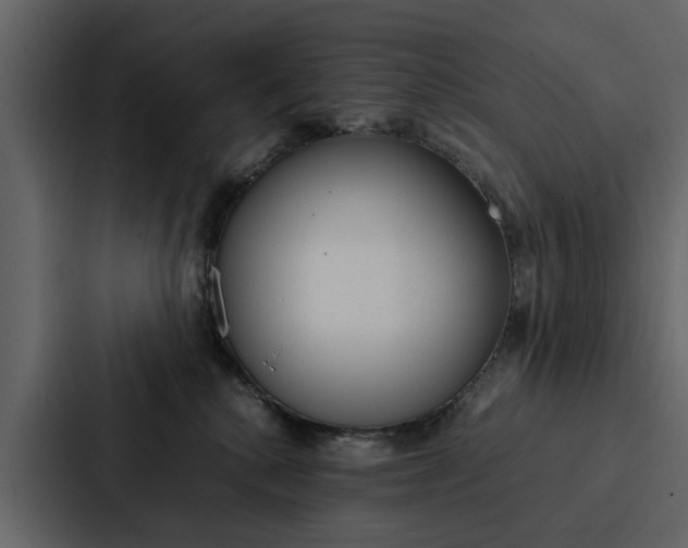 X0000088150280200705141057