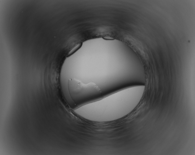 X0000088150281200705141057