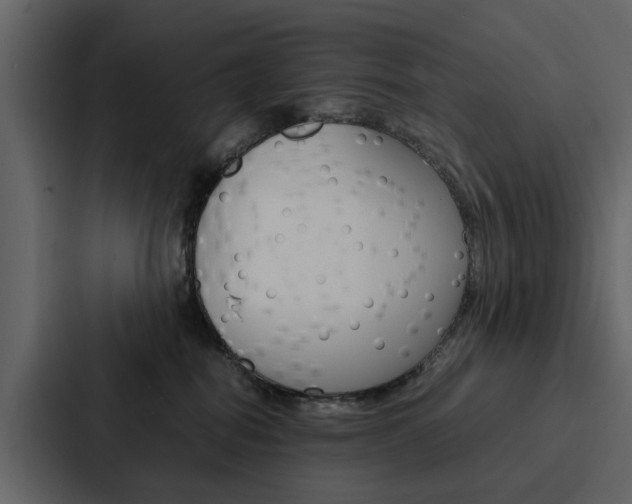 X0000088150282200705141057