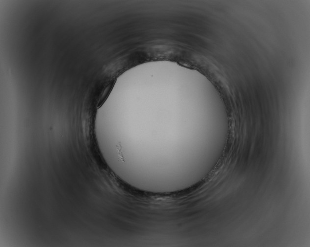 X0000088150283200705141057