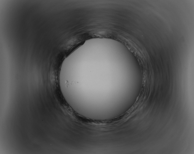 X0000088150284200705141057