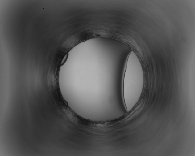 X0000088150285200705141057