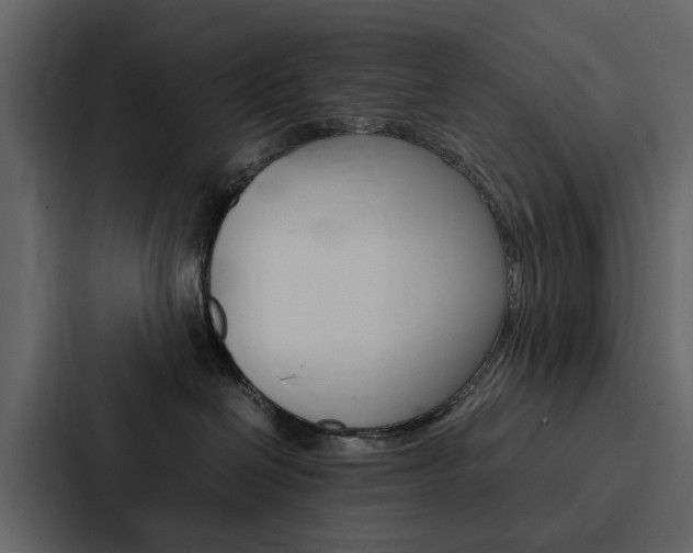 X0000088150286200705141057