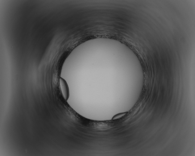 X0000088150287200705141057
