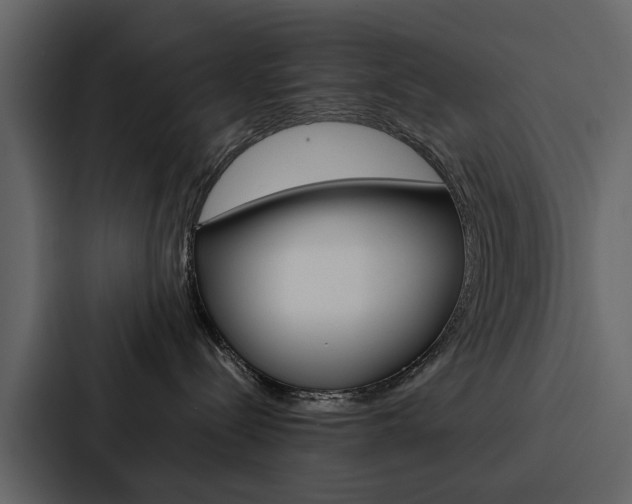 X0000088150288200705141057