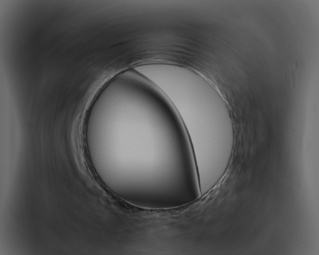 X0000088150289200705141057