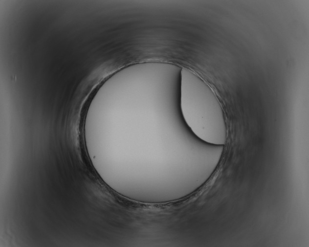 X0000088150290200705141057