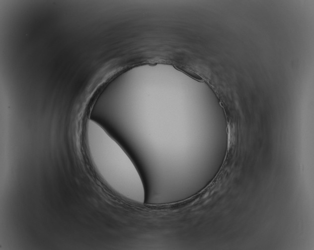X0000088150291200705141057