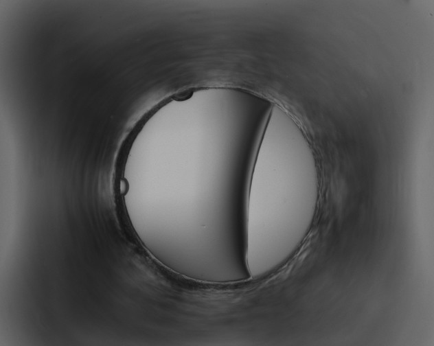 X0000088150292200705141057