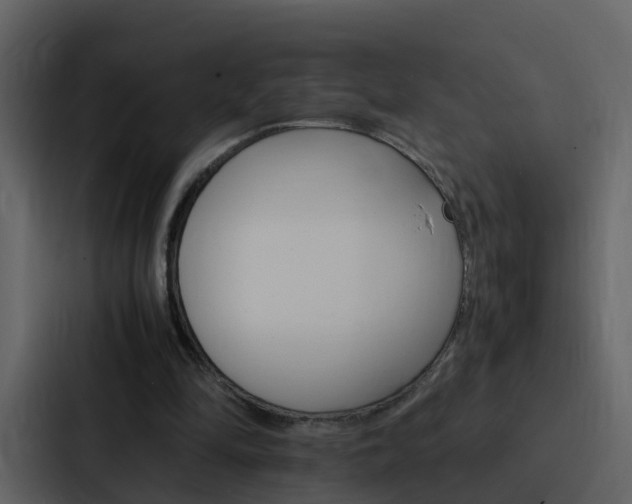 X0000088150294200705141057