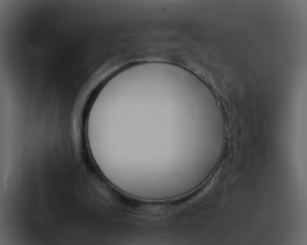 X0000088150295200705141057