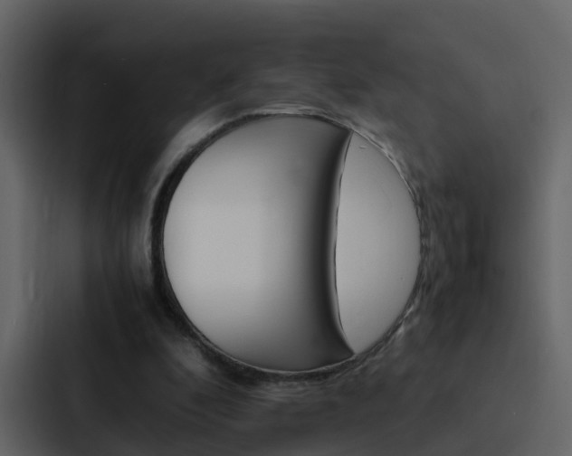 X0000088150296200705141057