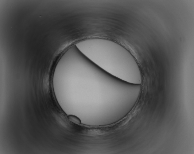 X0000088150298200705141057