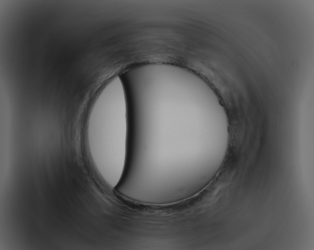 X0000088150299200705141057