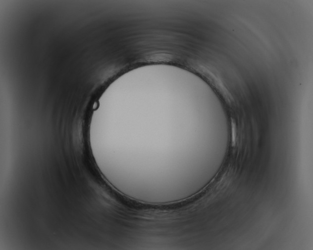 X0000088150300200705141057