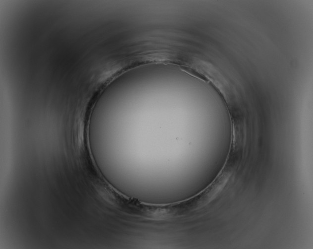 X0000088150301200705141057