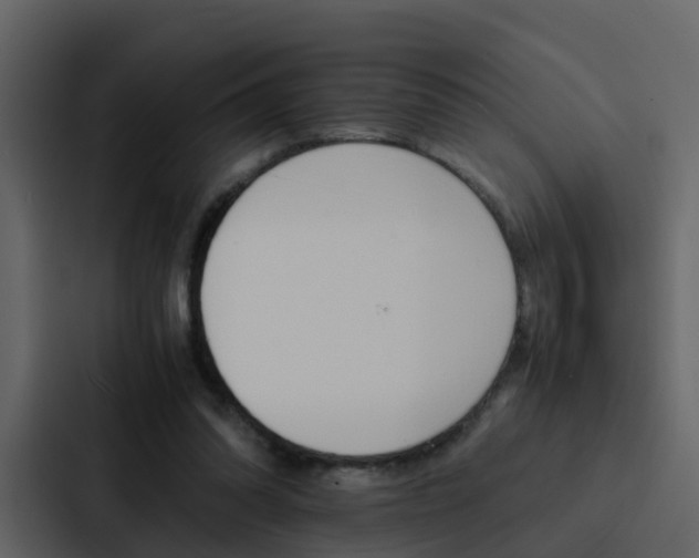 X0000088150302200705141057