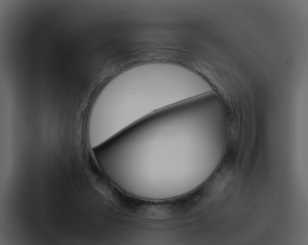 X0000088150303200705141057