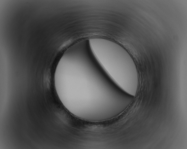 X0000088150304200705141057