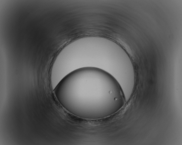X0000088150305200705141057