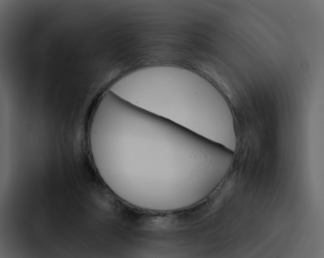 X0000088150306200705141057