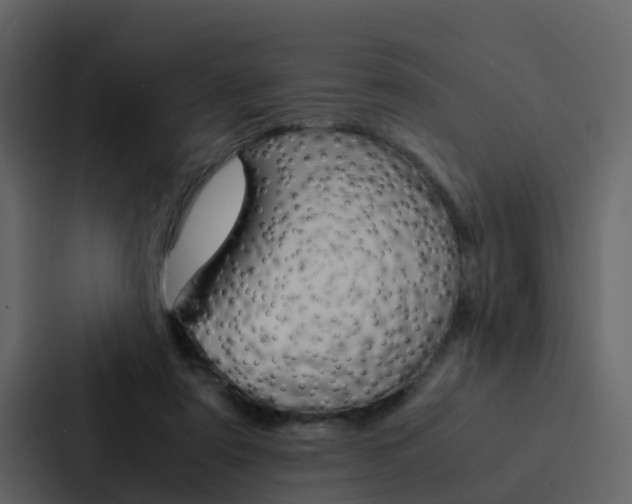 X0000088150307200705141057