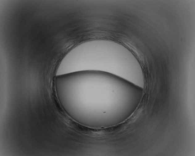 X0000088150309200705141057