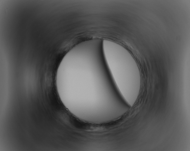 X0000088150311200705141057