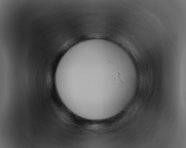 X0000088150312200705141057