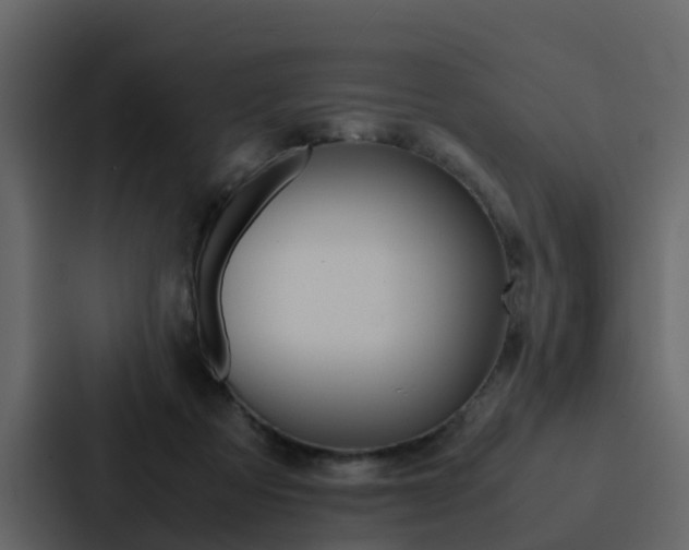 X0000088150313200705141057