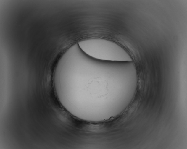 X0000088150314200705141057