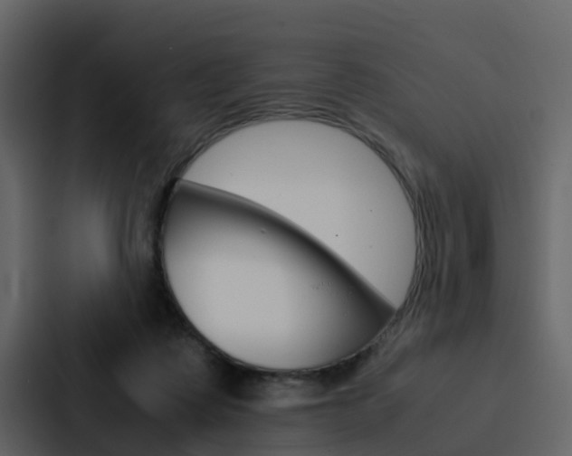 X0000088150315200705141057